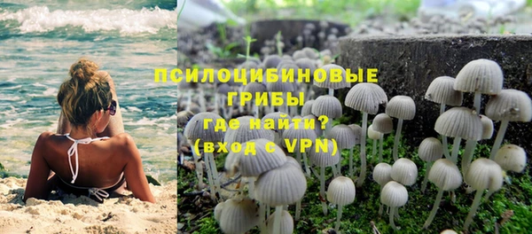 прущая мука Алзамай