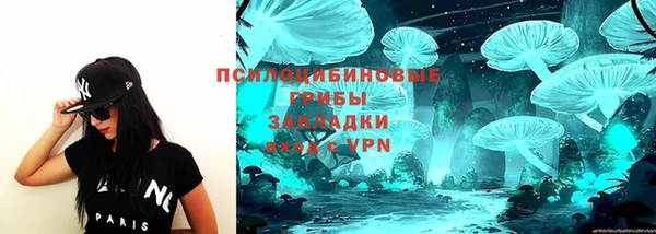 соль ск Алексин