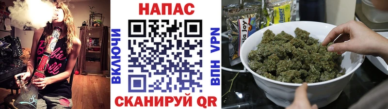 Каннабис планчик Бежецк